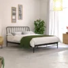 Kairosis Curved Metal Bed Frame - RST Brands