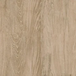 72" Loring 5 Shelf Ladder Bookshelf - Threshold™ -Baxton Studio Store GUEST 771ef4ce 705a 492f 85e4 f9b4d952e4c0